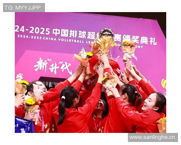 西安排球队的拼搏历程与精英赛背后的故事揭秘