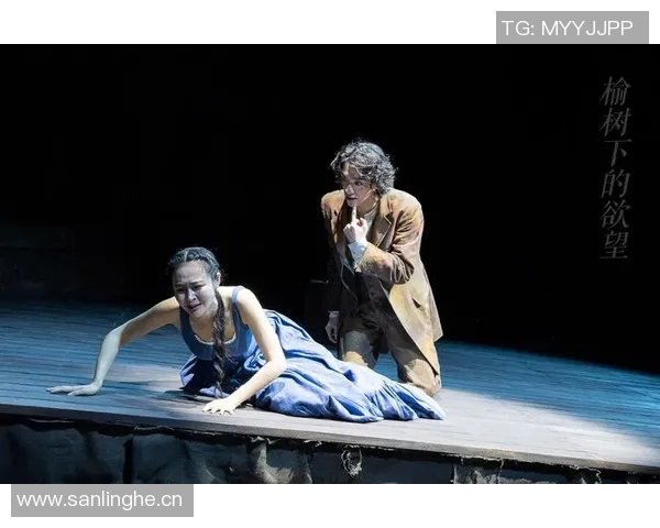 飞盘运动的崛起与陈娜的成功秘诀深度探讨